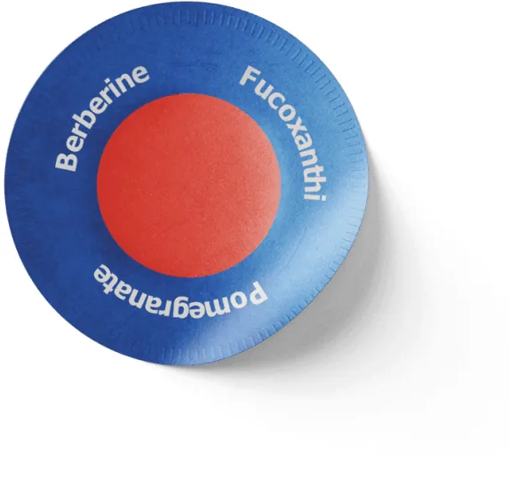 Purisaki transdermal berberine weight loss patch showing berberine, fucoxanthin and pomegranate labelling